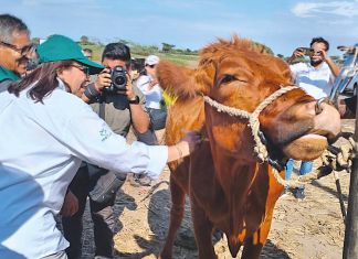 SENASA desarrolla jornada sanitaria en beneficio de ganadería familiar de Lambayeque