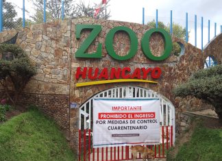 Detectan caso de influenza aviar en zoológico de Huancayo