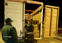 Tacna: SENASA comisa huevos de contrabando en Puesto de Control de Palca
