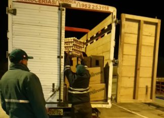 Tacna: SENASA comisa huevos de contrabando en Puesto de Control de Palca