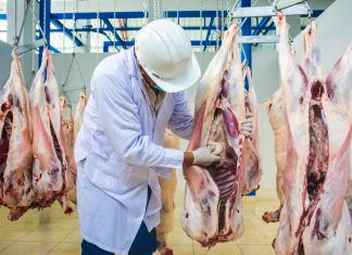 Perú mejorará la oferta de alimentos cárnicos inocuos con 124 mataderos autorizados