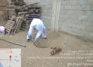 SENASA participó en simulacro ante la detección de un caso de influenza aviar en humano