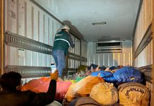 SENASA comisa cargamento de carne de cerdo y menudencias de contrabando