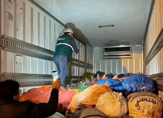 SENASA comisa cargamento de carne de cerdo y menudencias de contrabando