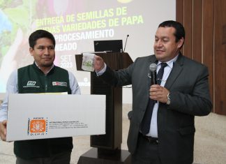 SENASA promueve uso de semillas de calidad, libre de plagas en el país