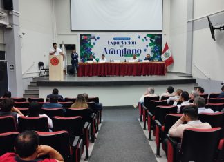 Ica: Productores y SENASA oficializaron inicio de campaña de exportación de arándanos