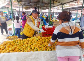Agricultores certificados venden productos inocuos en mercado de Huancaro
